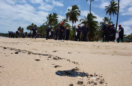 O que já é possível aprender com a tragédia que manchou o litoral brasileiro de óleo?