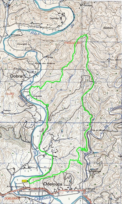 Rambling Rosas21012009final