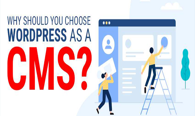 Why Should You Choose WordPress as a CMS 