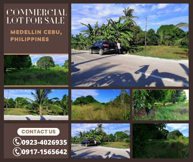 Commercial Lot in Medellin Cebu