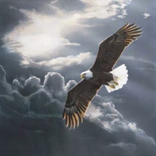 The Usa Presidential Elections