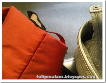 IMG00159-20100803-1652