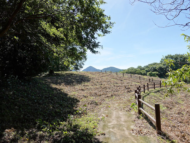 むきばんだ史跡公園の虫の森遊歩道