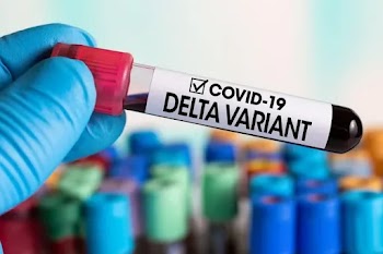 Covid-19 Delta Variant will be Globally Dominant, reports from WHO