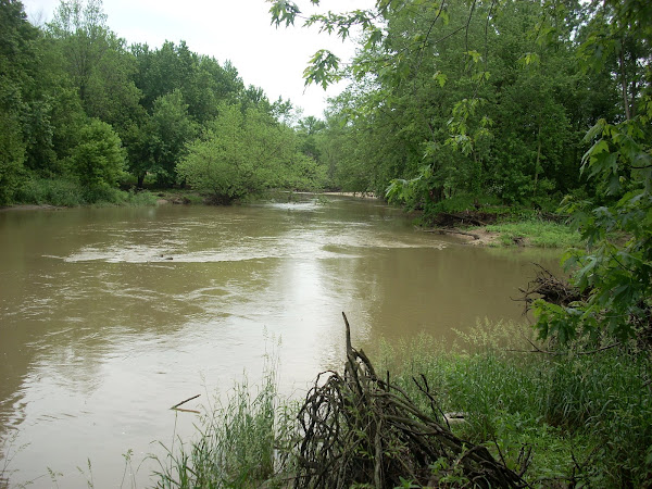 Picture of the Wildcat Creek