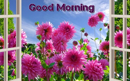 Beautiful Good Morning Flowers