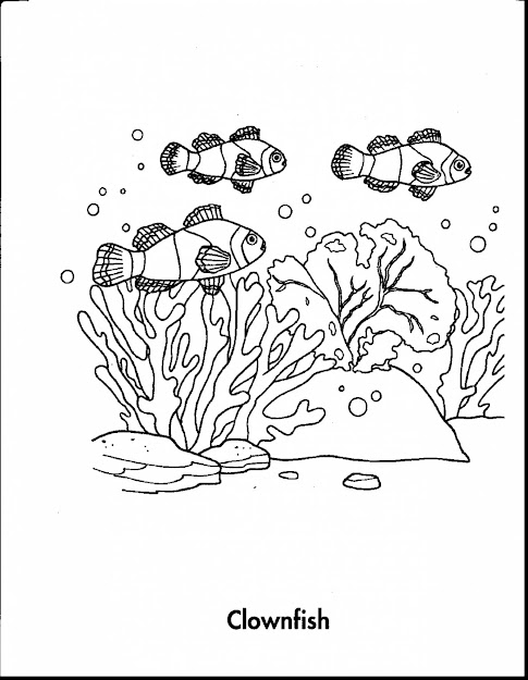 Beautiful Sea Animals Coloring Pages Printable With Sea Animals Coloring  Pages And Ocean Animals Coloring Pages