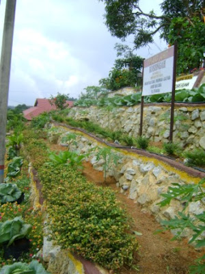 PORTAL FELDA LOK HENG BARAT: Edible Garden Mini