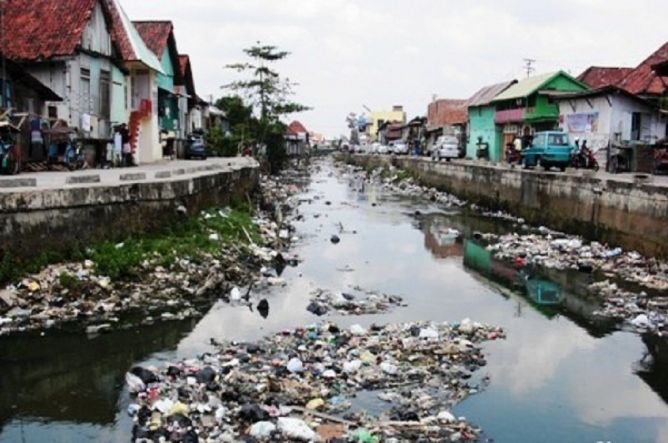 MAKALAH TENTANG PENCEMARAN LINGKUNGAN Gado Gado