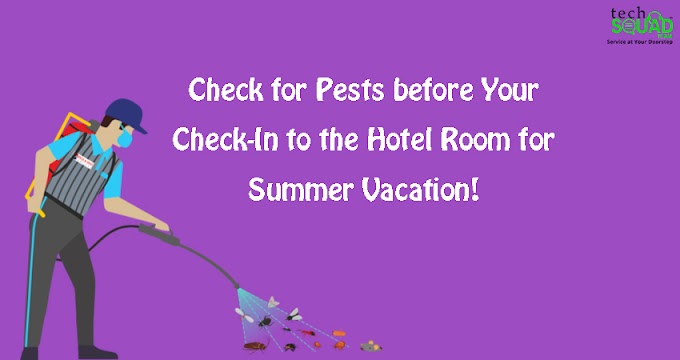 Check for Pests before Your Check-In to the Hotel Room for Summer Vacation!