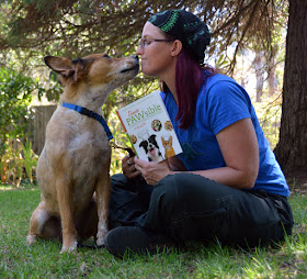 cooking for dogs