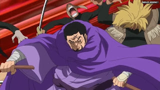 ワンピースアニメ ドレスローザ編 631話 海軍大将 藤虎 イッショウ Fujitora | ONE PIECE Episode 631