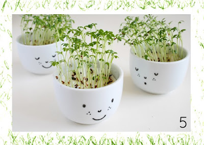 DIY-ถ้วยปลูกต้นคเร็ซ(CRESS) ประดับโต๊ะหรือของฝากในแบบของเราเอง