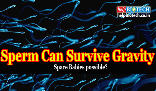 Sperm Can Survive Gravity !
