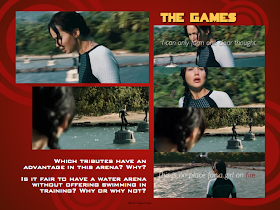 Catching Fire Visual Prompts from www.hungergameslessons.com