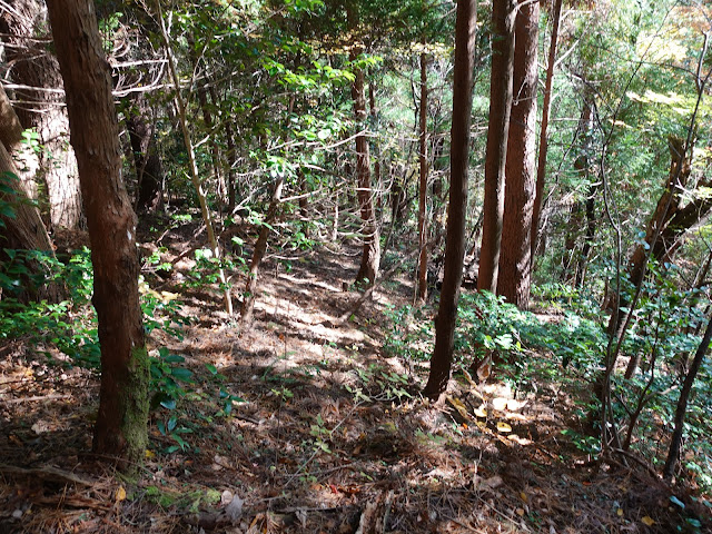 船上山の鱒返しの滝　降ります