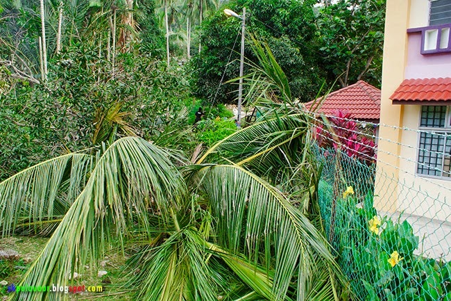 DSC01044