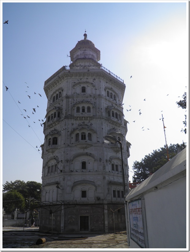 P2010443