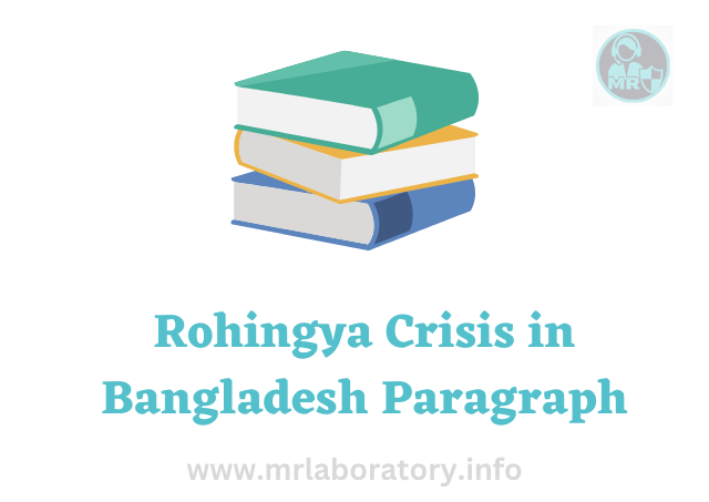 Rohingya Crisis in Bangladesh Paragraph for JSC, SSC, HSC - mrlaboratory.info