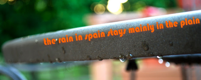 the rain in spain stays mainly on the plain