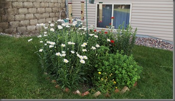 DSC00918