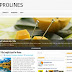 ProLines Theme Wordpress