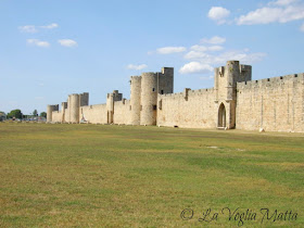 Camargue