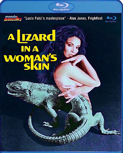 A Lizard