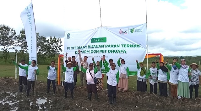 Potensi Lahan Yang Bagus ,Dompet Dhuafa Memberikan Program Penyediaan Hijauan Pakan Ternak Tanaman Jagung