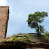 Entre rochers, ruines et tourbières. La suite