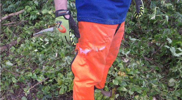 forester chainsaw protective pants