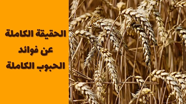 الحبوب الكاملة,best whole grains,خبز الحبوب الكاملة,الحبوب الكاملة ,whole wheat pasta fiber ,