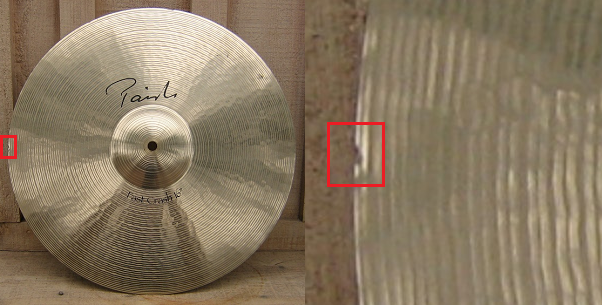 Zooming in on a cymbal flea bite