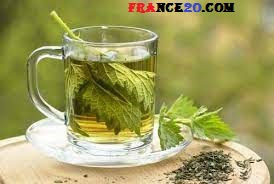 Un guide infaillible de la santé : le thé vert au citron