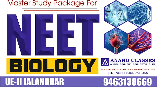 NEET Medical Exam for Class 11 12 Coaching Tuition center in jalandhar Anand Classes Param Neeraj Anand