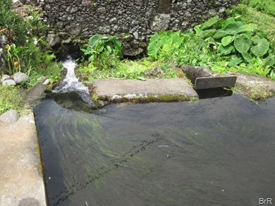Oberlauf_der Mühle