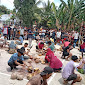 Lomba Belah Kelapa Tua Warnai Kemeriahan HUT RI ke 77 di Pasilambena Selayar