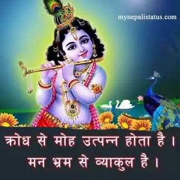 lord krishna photo | images with quotes hindi english