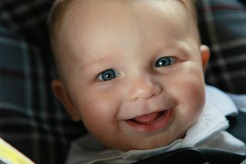 IMG_6388 IMG_6388