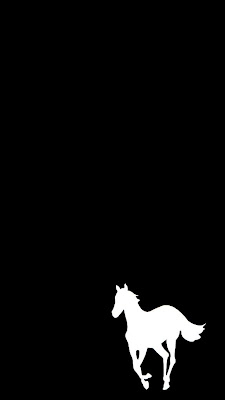 White Horse Animal iPhone 5 Wallpapers