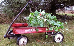 Country Wisdom: Buy Your Kids a Wagon, and They’ll Never Complain About “Work”