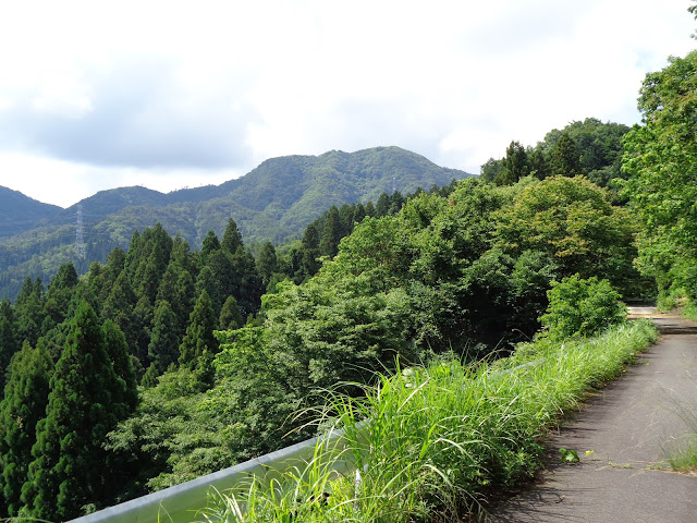 鎌倉山グリーンライン