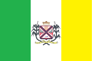 Bandeira de Gameleiras MG
