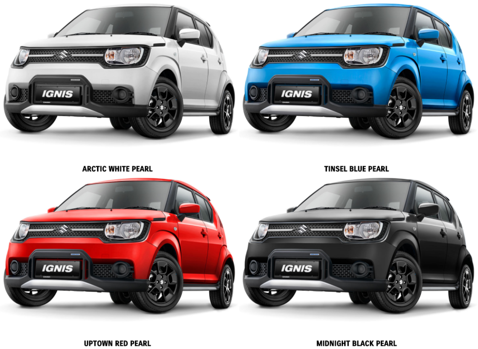 Warna-ignis-sport