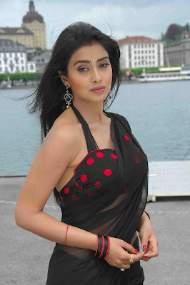 Actress Shriya Saran