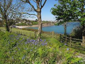 Falmouth, Cornwall, MEI Conferences