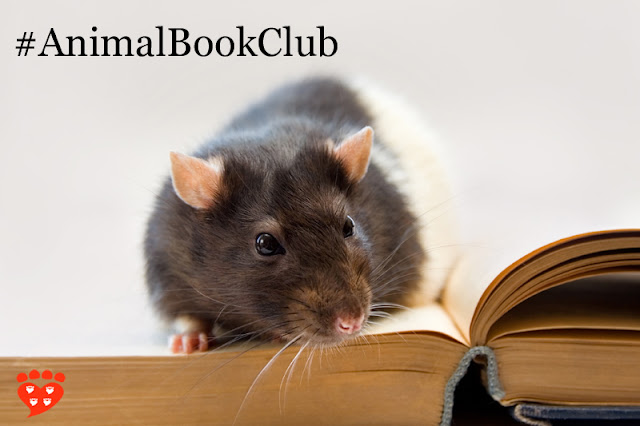 A pet rat on a book. This month's book is Some We Love, Some We Hate, Some We Eat by Hal Herzog