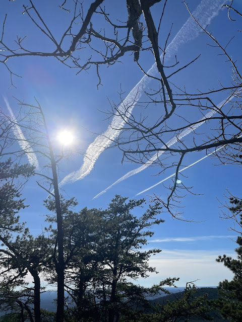 A view of the sky from the top of our hike. There are a few trees scattered in the background and above are the leftover trails of three airplanes that have since passed by. The white of the airplane fumes contrast with the blue sky and make it look very beautiful.