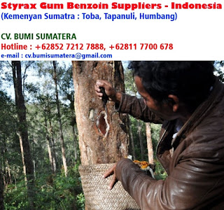 styrax benzoin gum,styrax benzoin gum extract,styrax benzoin gum ewg,styrax benzoin gum cas no,gum benzoin dhoop,gum benzoin tree,gum benzoin powder,gum benzoin in lipstick,gum benzoin uses,gum benzoin incense,gum benzoin resin,gum benzoin acid,gum benzoin benefits,benzoin gum cost,cheap gum benzoin,gum benzoin essential oil,gum benzoin for sale,gum benzoin indonesia,gum benzoin oil,gum benzoin origin,types of gum benzoin,gum benzoin price,gum benzoin sumatra,gum benzoin suppliers,jual kemenyan terdekat,jual kemenyan putih,jual kemenyan madu,jual kemenyan hijau,jual kemenyan jawa,jual beli kemenyan,jual bibit kemenyan,jual beli kemenyan di medan,jual beli kemenyan di jakarta,jual beli kemenyan surabaya,jual beli kemenyan di pekanbaru,beli kemenyan,toko jual kemenyan,beli kemenyan dimana,jual kemenyan di semarang,jual kemenyan di malang,jual kemenyan di bali,jual kemenyan di bandung,jual kemenyan di jakarta,jual kemenyan di batam,jual kemenyan di surabaya,jual kemenyan sumatera,jual getah kemenyan,harga kemenyan gaharu,harga getah kemenyan,jual kemenyan hitam,harga kemenyan hitam,harga kemenyan hari ini,toko jual kemenyan hijau,tempat jual kemenyan jawa,jual kayu kemenyan,harga kayu kemenyan,kedai jual kemenyan kl,kedai jual kemenyan,jual kemenyan medan,jual kemenyan merah,jual minyak kemenyan,harga kemenyan madu,harga kemenyan putih,harga kemenyan per kg,harga kemenyan per kilo,jual kemenyan sumatra,harga kemenyan super,harga kemenyan sumatera,harga kemenyan saat ini,jual kemenyan tapanuli,jual kemenyan toba,harga kemenyan toba,harga kemenyan termahal,harga kemenyan terbaru,harga tempat kemenyan