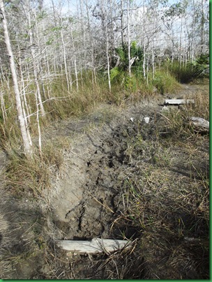 Casita & AM Florida Trail hike 017